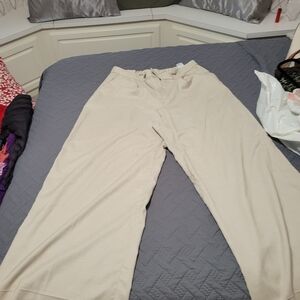 Banana Republic Light Tan Wide-Leg Pants